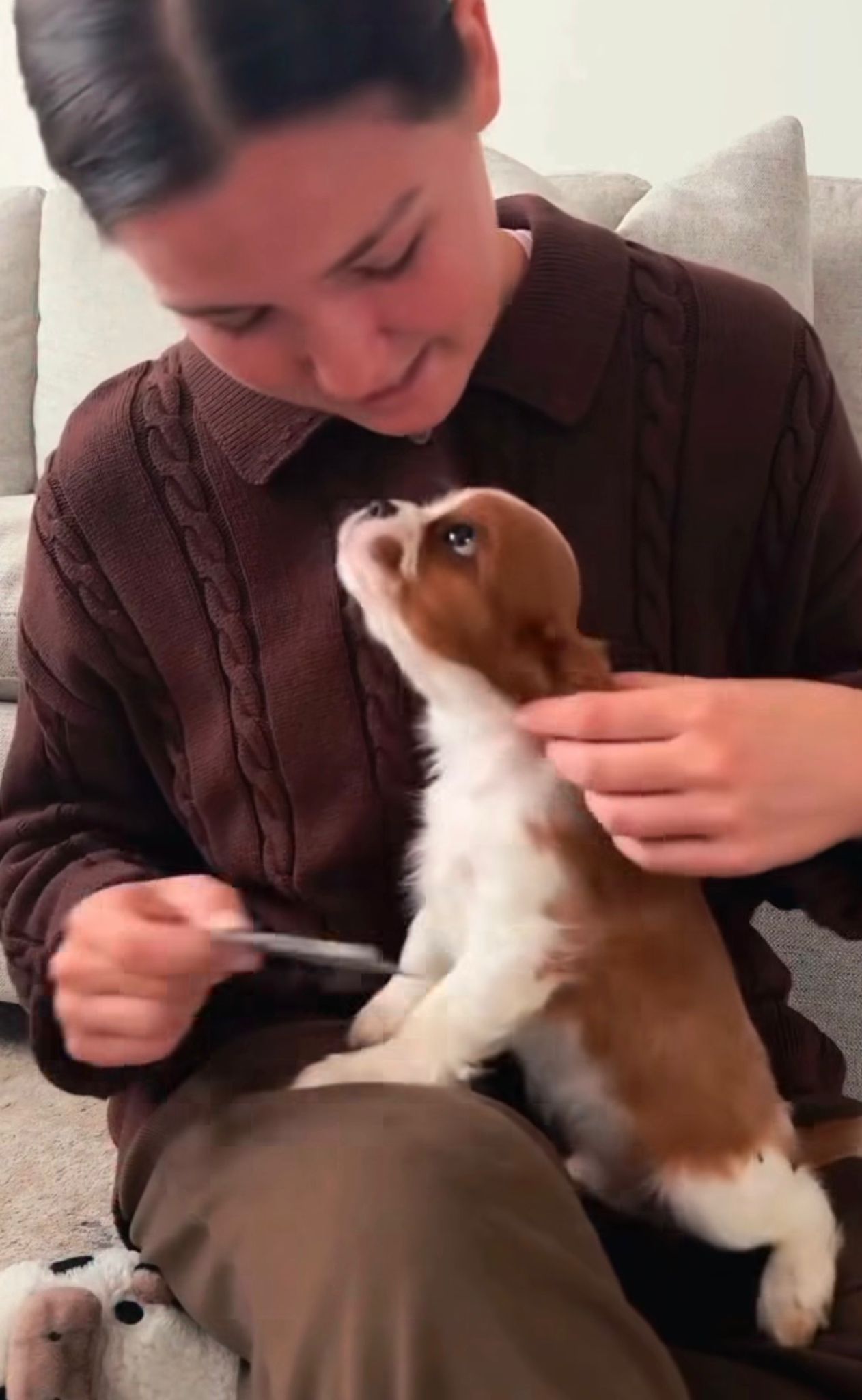 Happy family with their Cavalier puppy